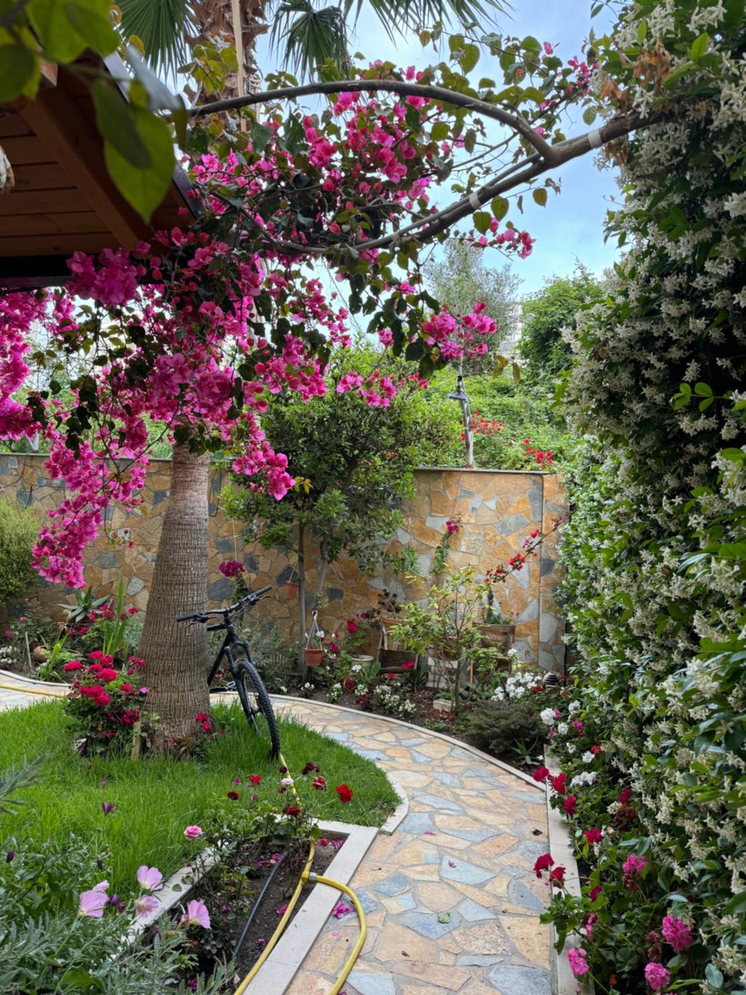 Guest Room Angolo Toscano Vlore Exterior photo